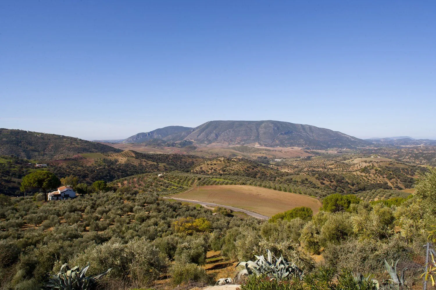 Casita Buenvino
