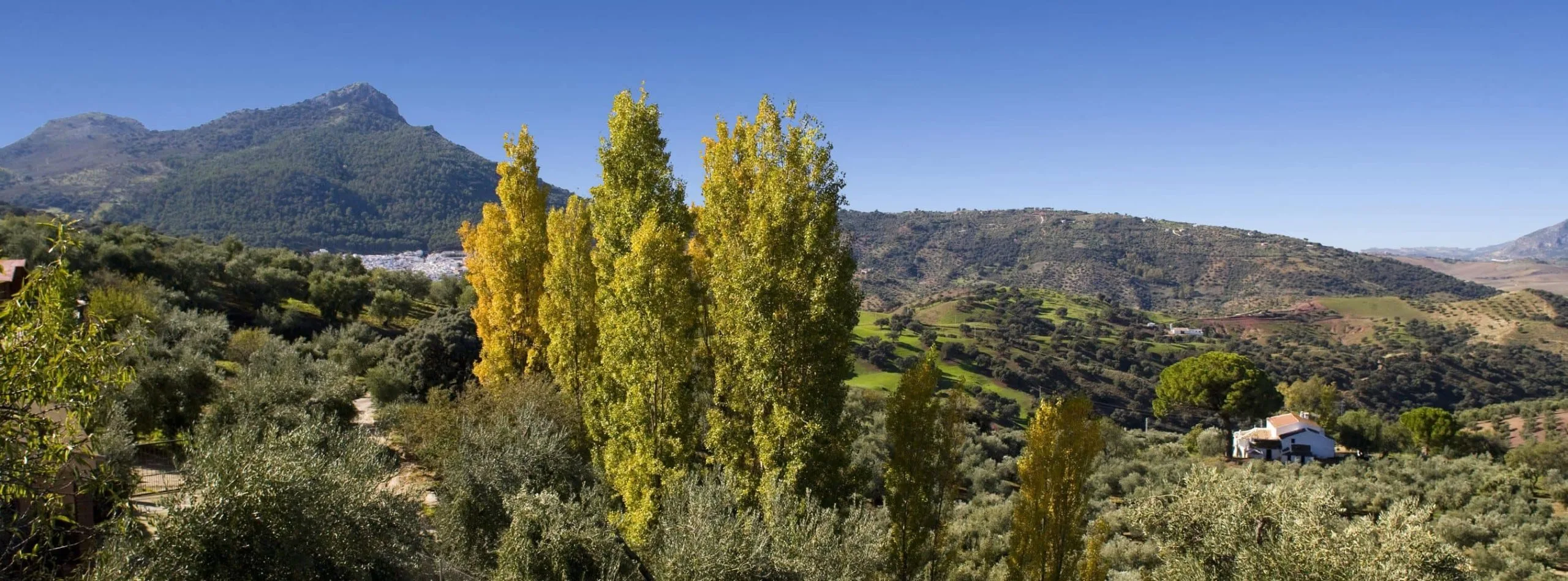 Casita Buenvino