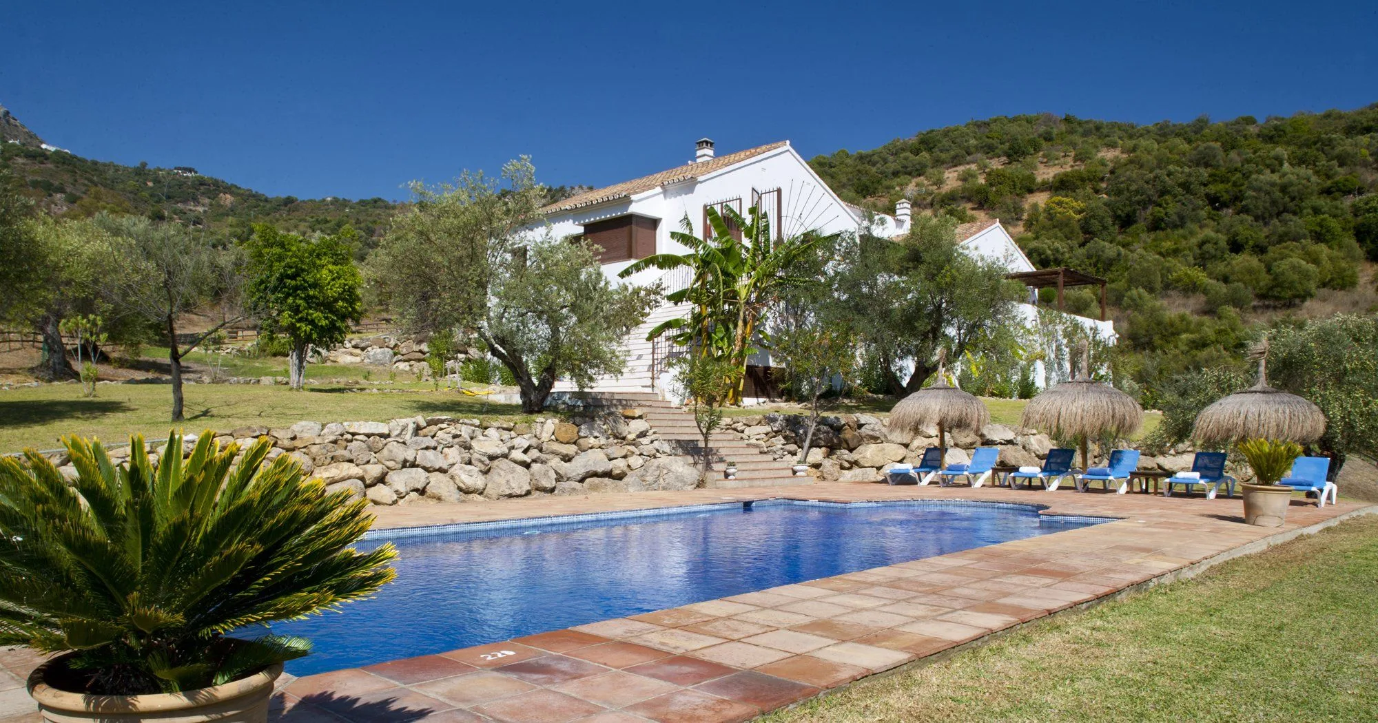 Real Ronda on Instagram