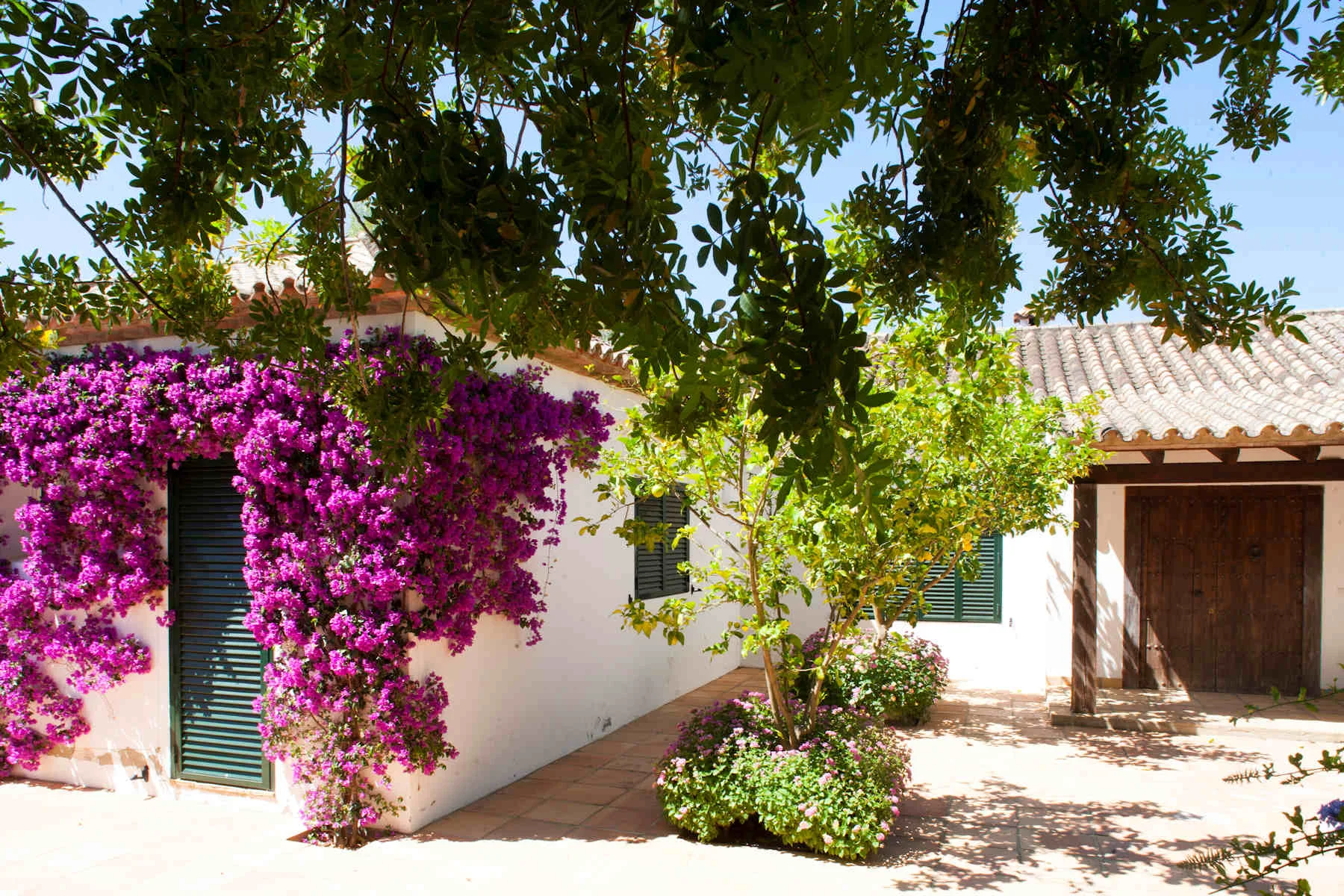 Finca El Corchuelo