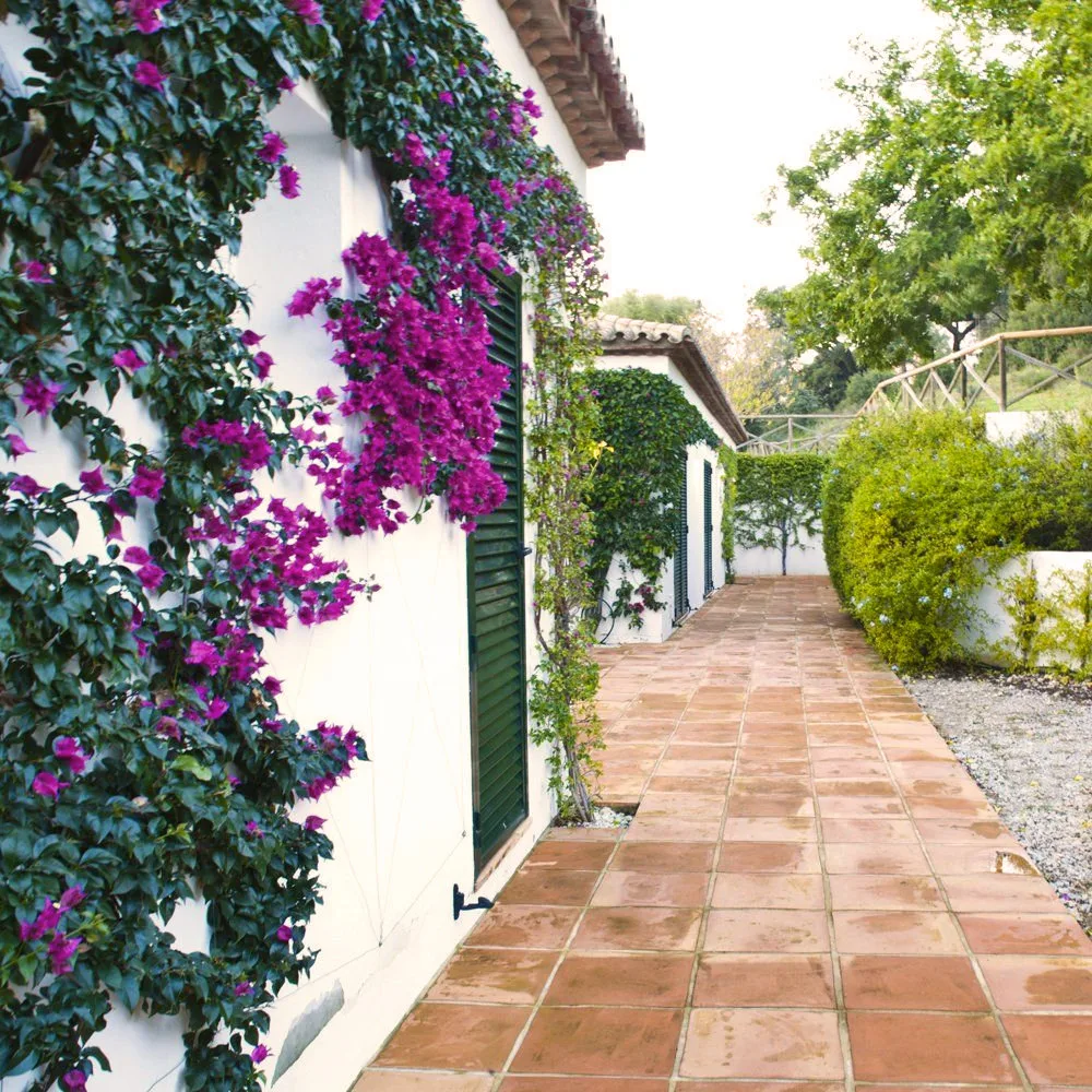 Finca El Corchuelo