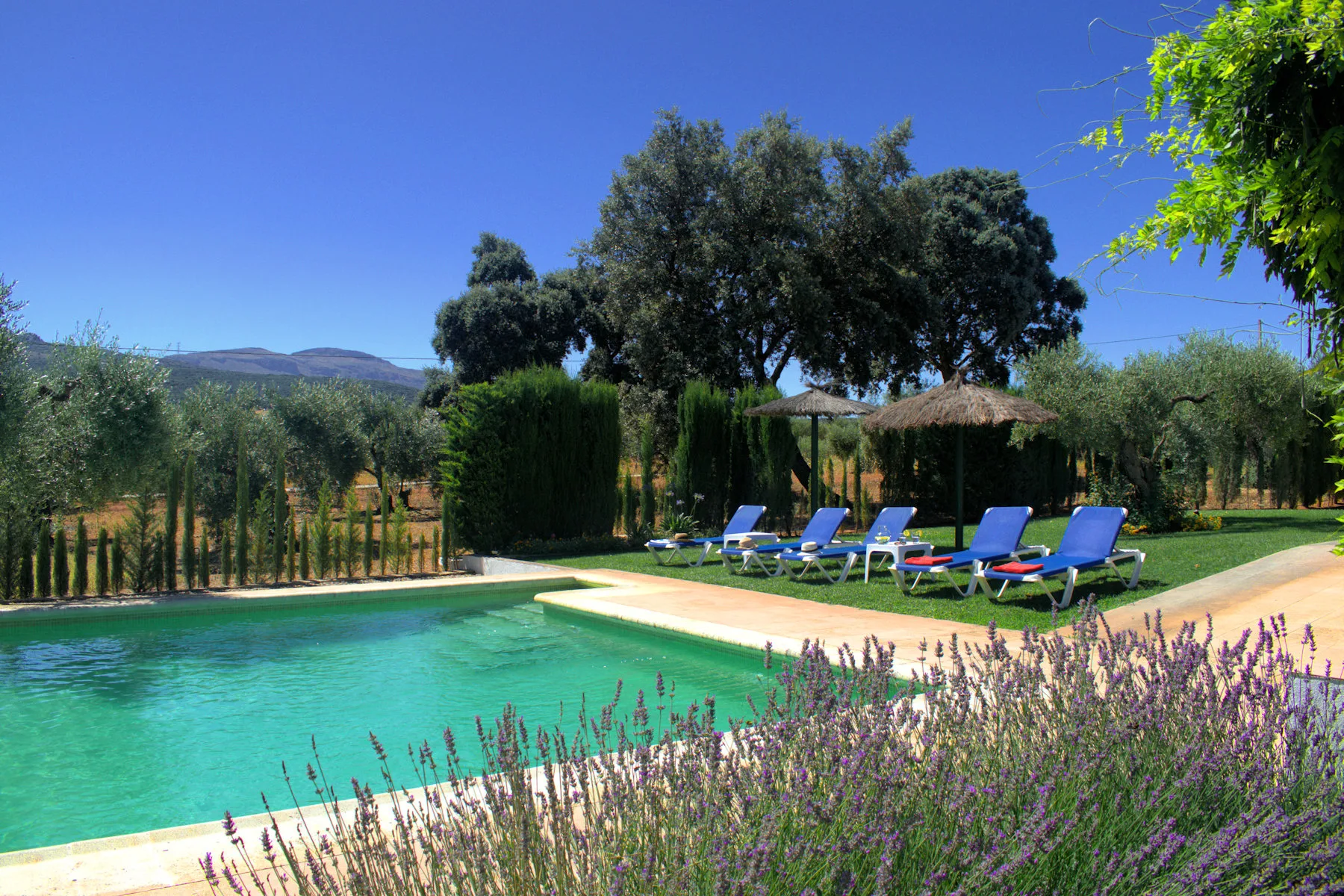 Villa Casa Adelfa