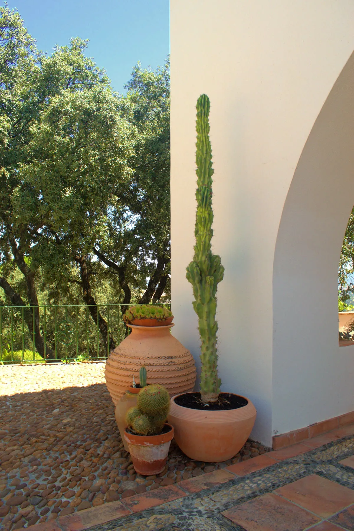 Villa Casa Carmen