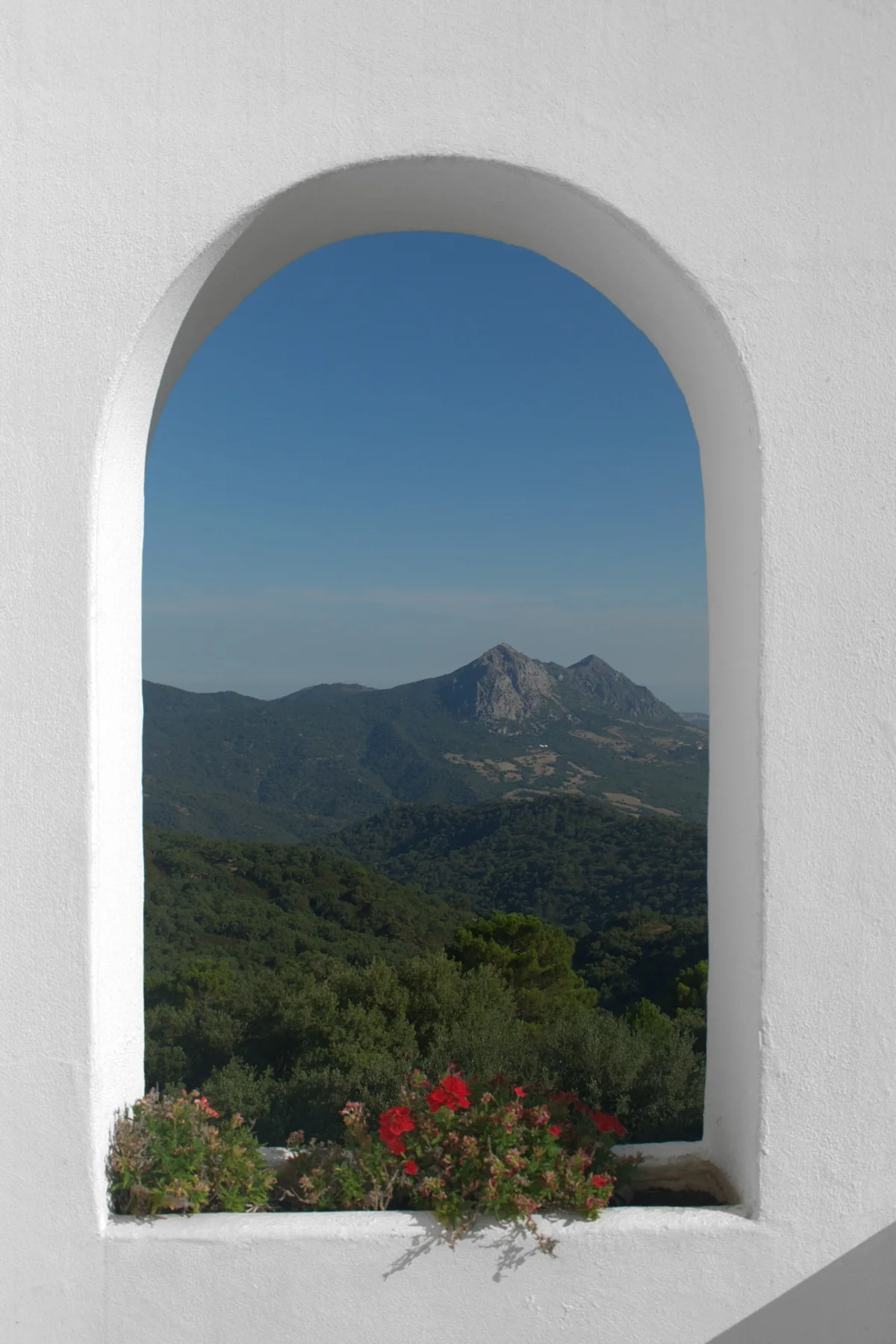 Villa Casa del Bosque