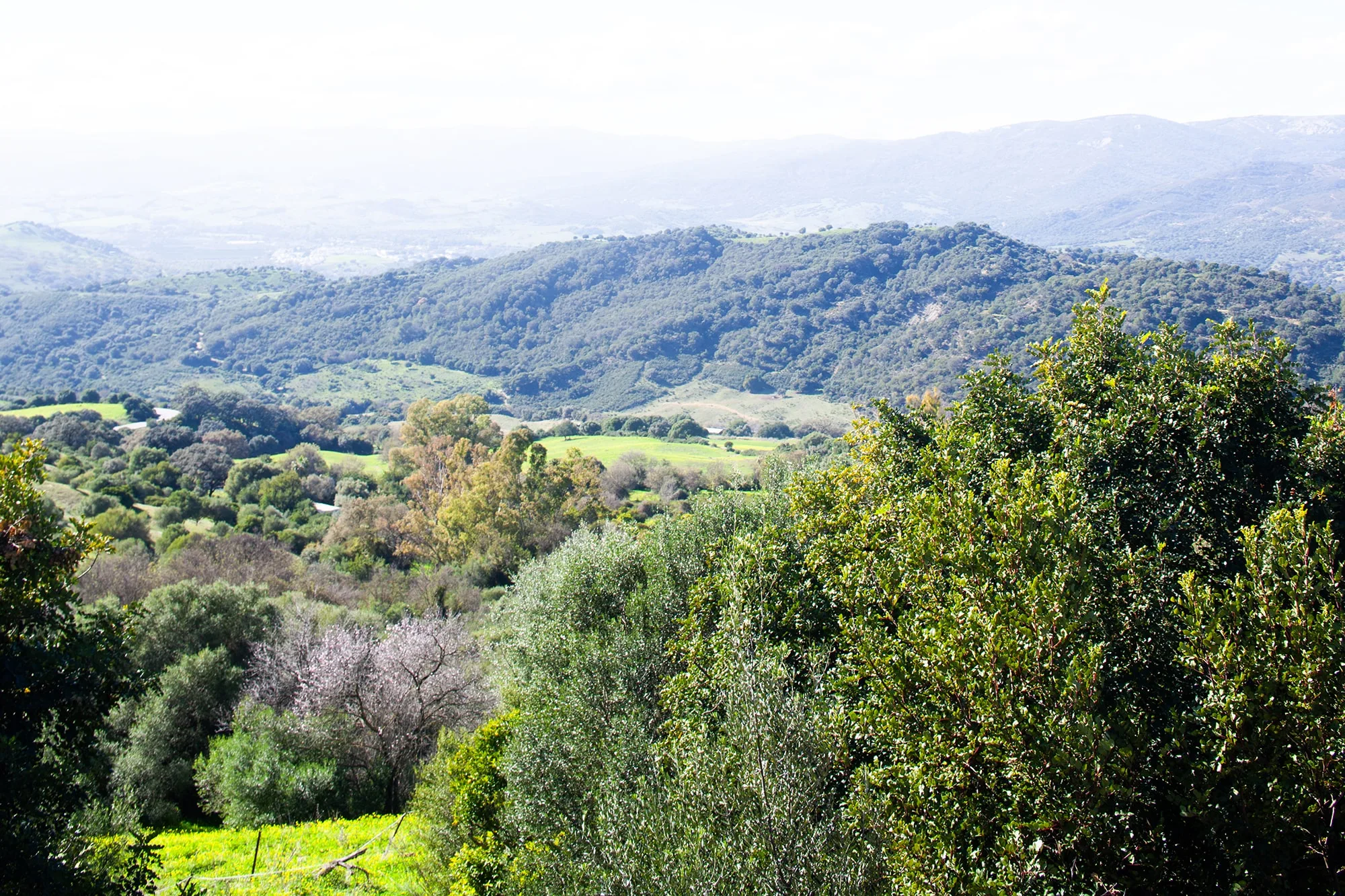 Cortijo Las Vigas