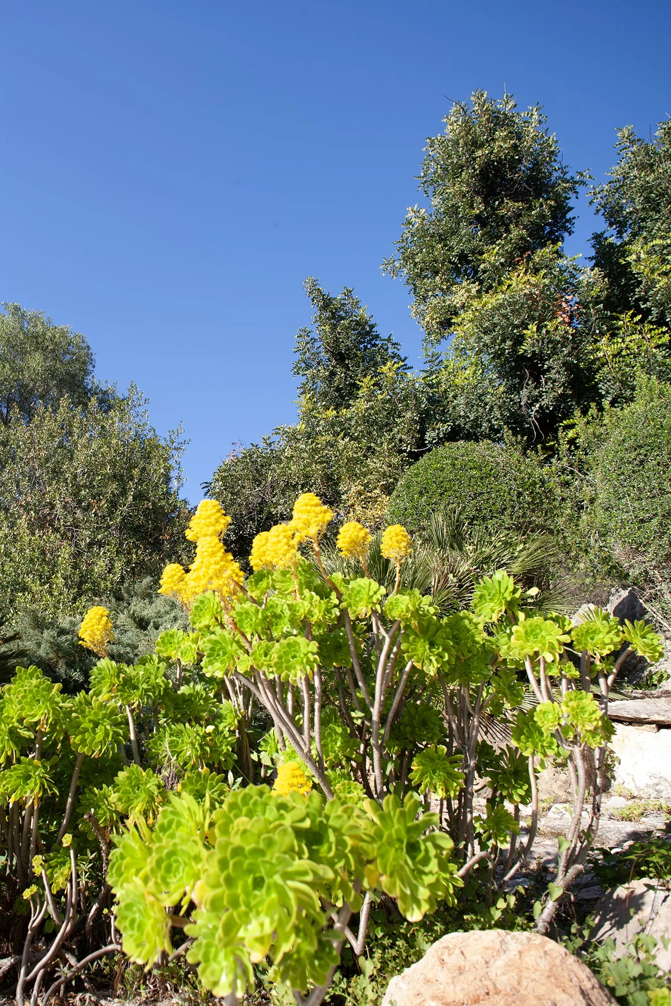 Cortijo Las Vigas