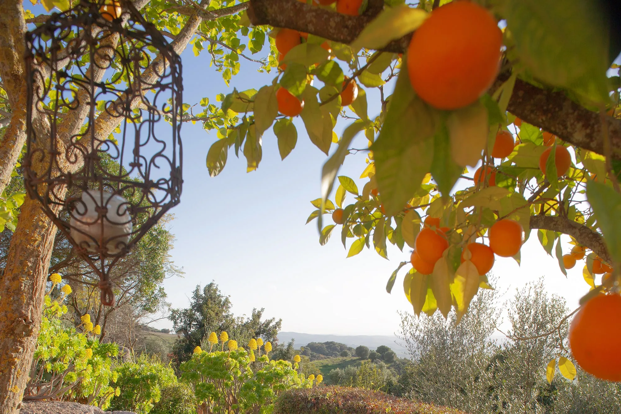 Cortijo Las Vigas
