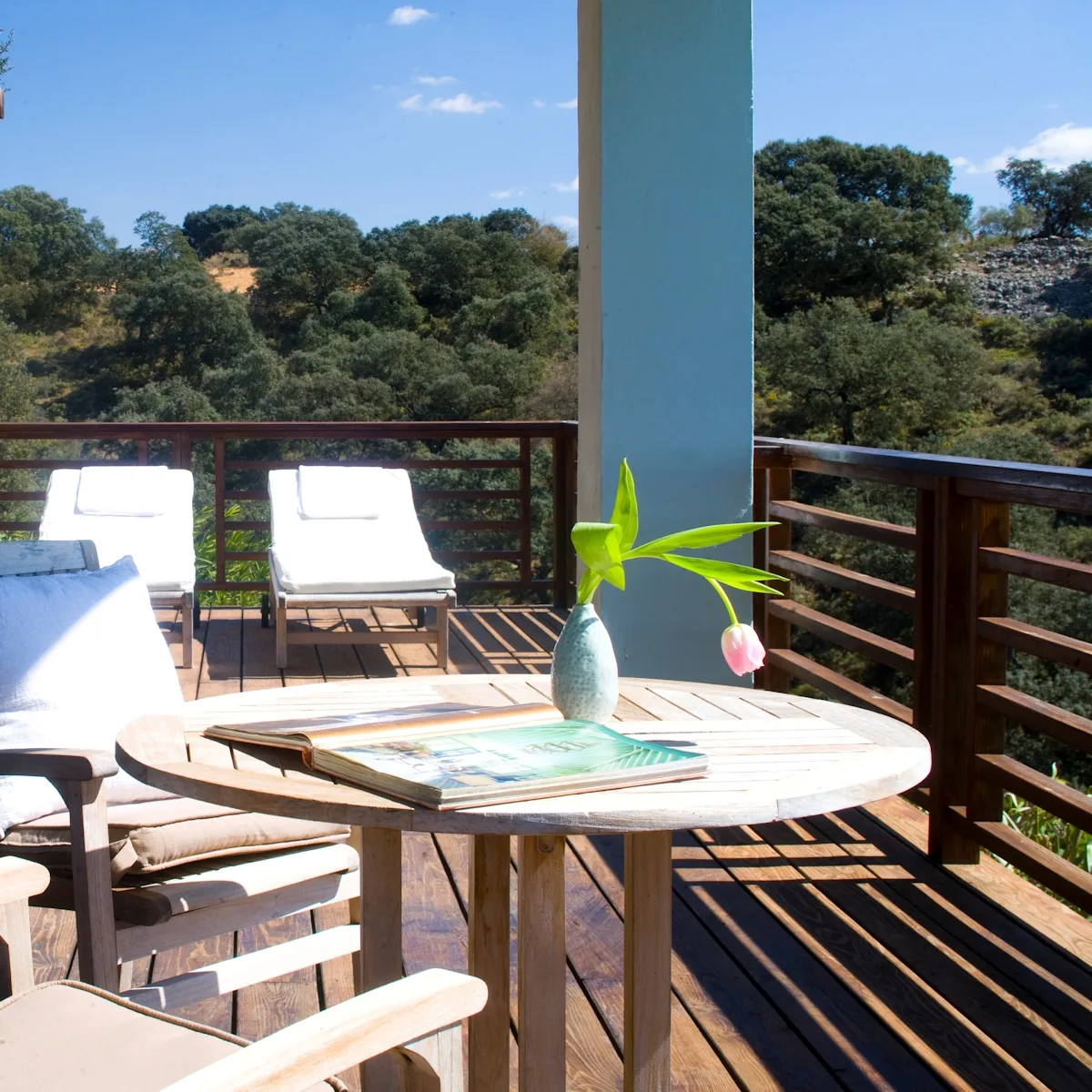 Villa Finca Alma